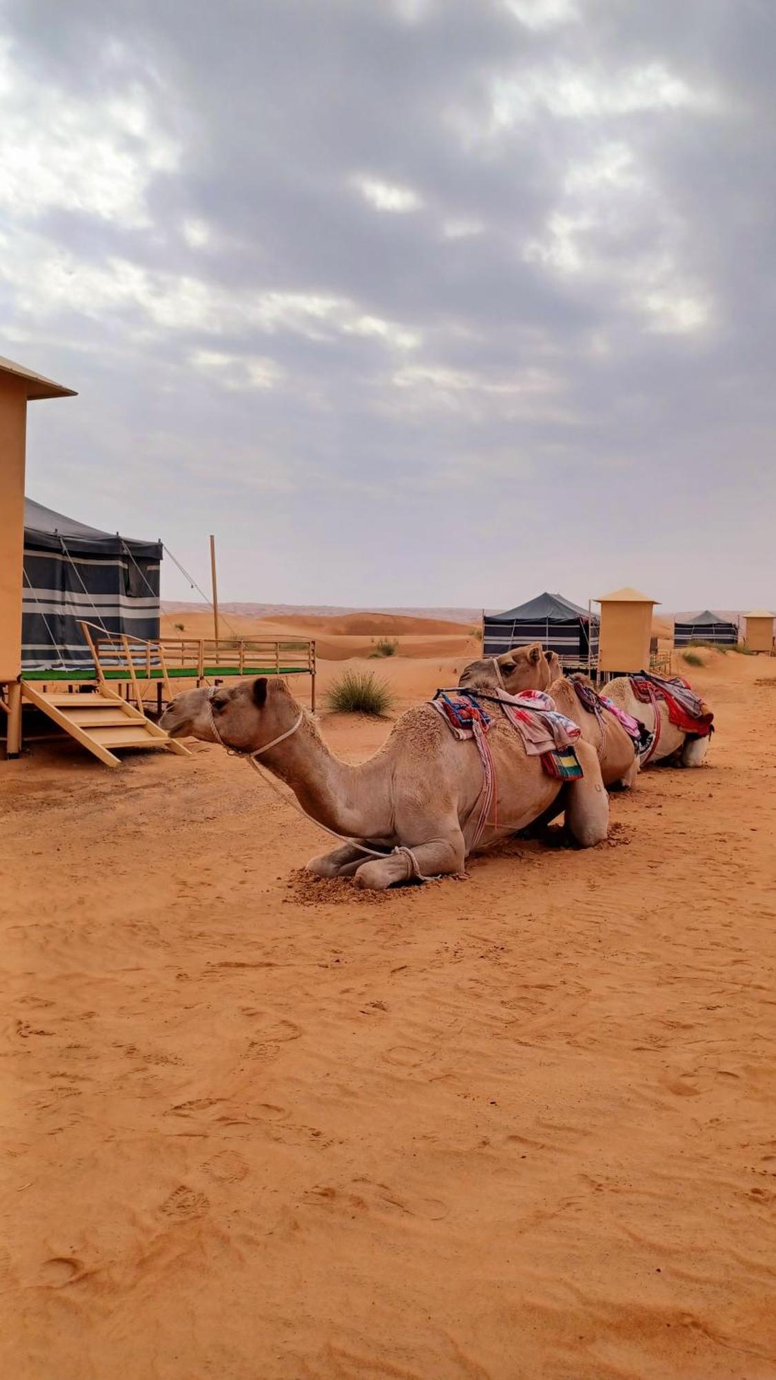 Sunrise Desert Local Private Camp Badīyah Exterior photo
